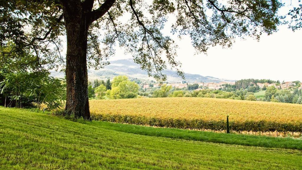 Casa Fabbrini Agriturismo San Casciano dei Bagni Eksteriør bilde